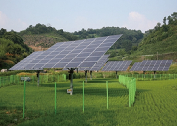 한국서부발전의 영농형태양광 사업으로 설치된 태양광 모듈. 사진=서부발전 제공