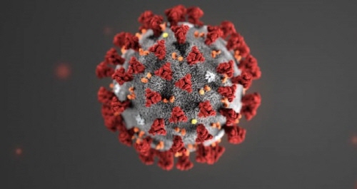 미국 질병통제예방센터(CDC)에서 신종 코로나바이러스의 구조를 실제와 비슷하게 구현한 3D 이미지. 사진=CDC 제공