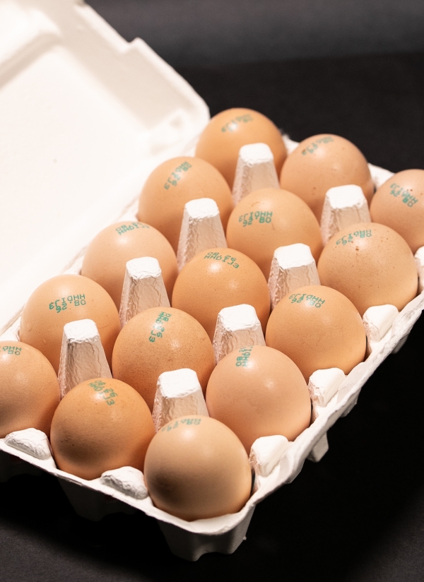 농촌진흥청은 농장단계에서 달걀 껍데기를 단단하게 하는 기술을 개발했다고 밝혔다. (사진제공=농촌진흥청)