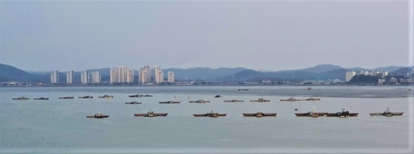 군산 내항의 통항로를 꽉 매운 불법 실뱀장어 조업어선들 모습. 사진=군산해경