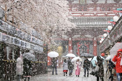 29일 일본 도쿄(東京) 소재 사찰인 센소지(淺草寺) 인근 상점가에 눈이 내리는 가운데 사람들이 우산을 쓰고 이동하고 있다. 사진=도쿄 도교
