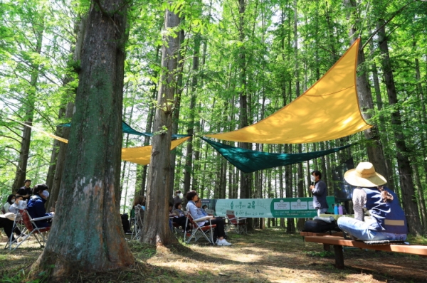지난 5월부터 6월까지 곡성 제월섬에서 7차례의 숲 교육 워크숍을 개최한 모습.(사진제공=곡성군)
