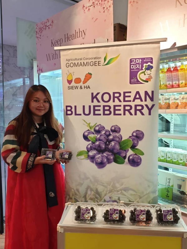 말레이시아에서 판매중인 한국산 블루베리 (사진제공=농촌진흥청)