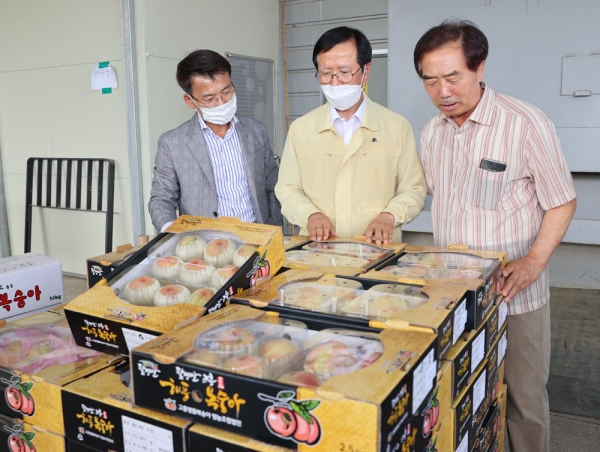 지난 8일 고흥 복숭아 15톤을 홍콩에 수출한 모습.(사진제공=고흥군)