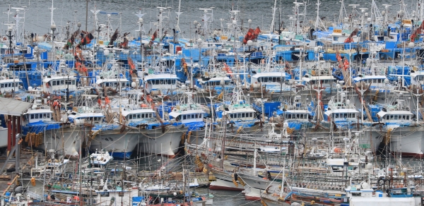 태풍 ‘하이선’ 이 북상하는 가운데 6일 오전 제주 서귀포항에 어선들이 대피해 있다. 사진=연합뉴스