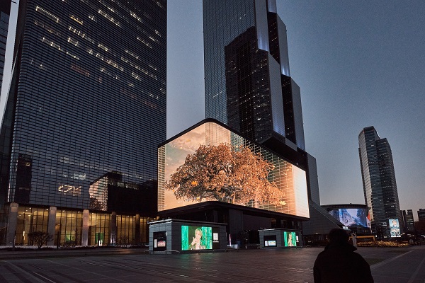 'Pivotal Tree'는 영상이 송출되는 코엑스 주변 환경과 빌딩을 스크린에 그대로 반영해 현실감을 선사한다.