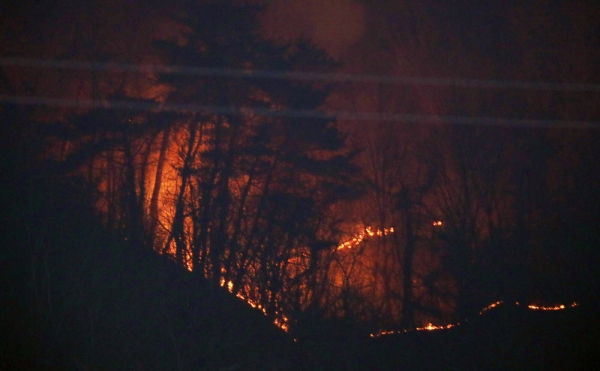 5일 오후 1시 29분께 경북 봉화군 봉하읍 야산에서 불이 났다. 산림 당국은 이날 오후 7시께 대응 3단계를 발령하고 진화 작업을 벌이고 있다. 사진=연합뉴스