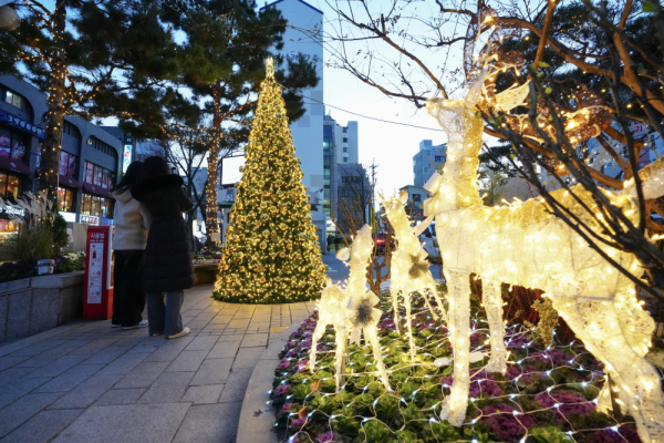 서울 강북구가 23일부터 25일까지 구청 일대에서 2023 강북 크리스마스 마켓 ‘내가 그린 산타’를 개최한다. 강북구청사 광장에 설치된 크리스마스 트리와 사슴 빛 조형물. 사진=강북구 제공 