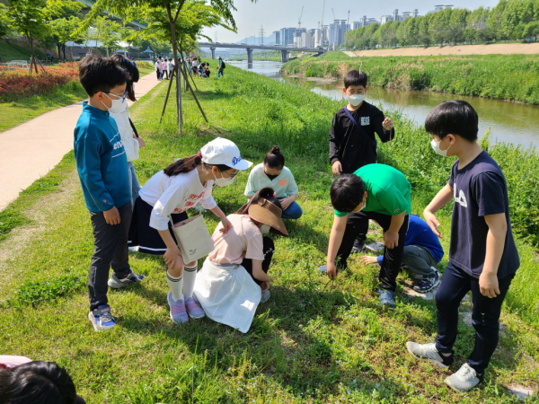 지난해 5월 진행된 ‘금천한내 생태탐방’ 모습. 아이들이 안양천에서 식물을 관찰하고 있다. 사진=금천구 제공