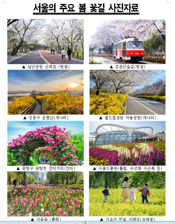 서울시가 봄내음 가득한 ‘서울의 아름다운 봄 꽃길 173선’을 소개했다. 사진=서울시 제공