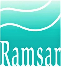 람사르협약 상징로고. 해양수산부 제공