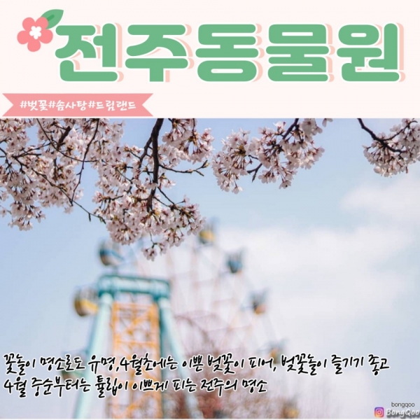 전북 전주 동물원·항공대대·한옥마을 등 봄꽃여행지 10선 선정 (자료 전주시)